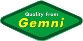 gemni logo